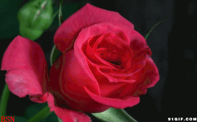 images/2/2020/05/qwk7lSQsM20MM3S7f26458SG66k268.gif