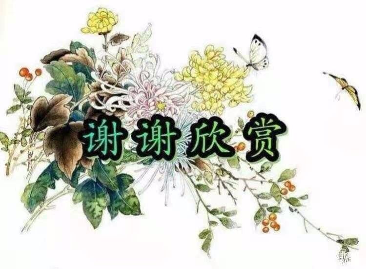 人,性/谦诚(图18)