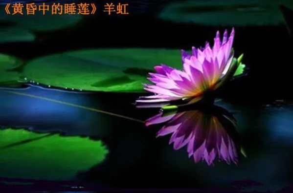 images/2/2022/11/F0Tlh59s1lSf5sFIS0L2ZzY1Z2ylLl.webp