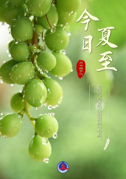 images/2/2025/06/EzOkhHv5I1FgVA1m5wfA9IoZE19Mpi.jpeg