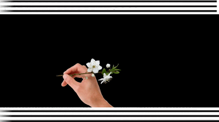 images/2/2026/04/pdOvnp2wVPLGZiIzDo9JbTbz0wBWwP.gif