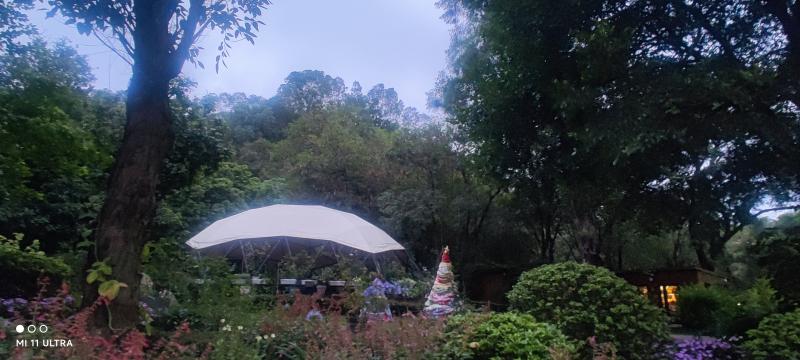 MVIMG_20260516_185911.jpg
