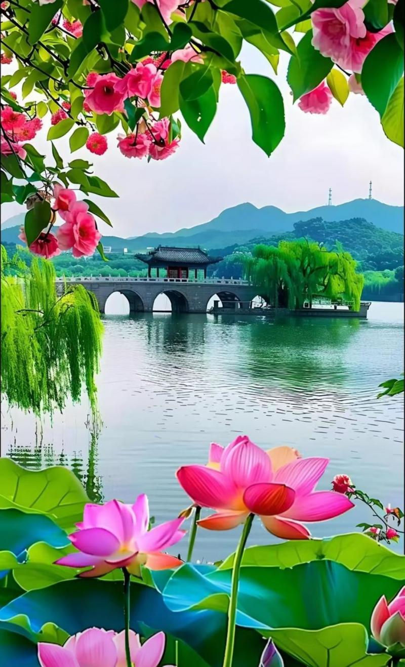 images/2/2026/08/Bii31DFQ18YRY9WX4Yy11q1ZyNsFeD.jpg
